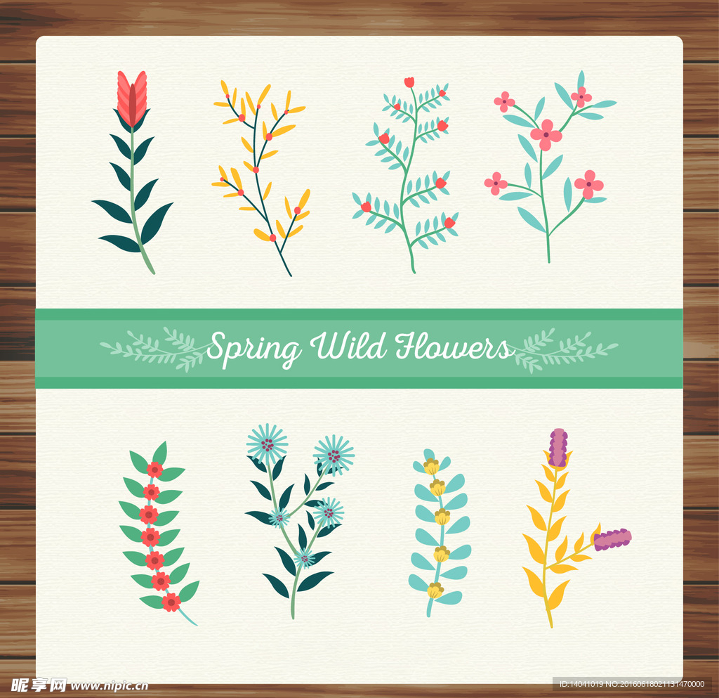 彩色的野花春天设计
