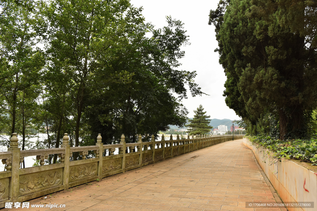 路