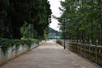 石板路