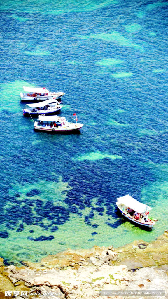 海上的游艇