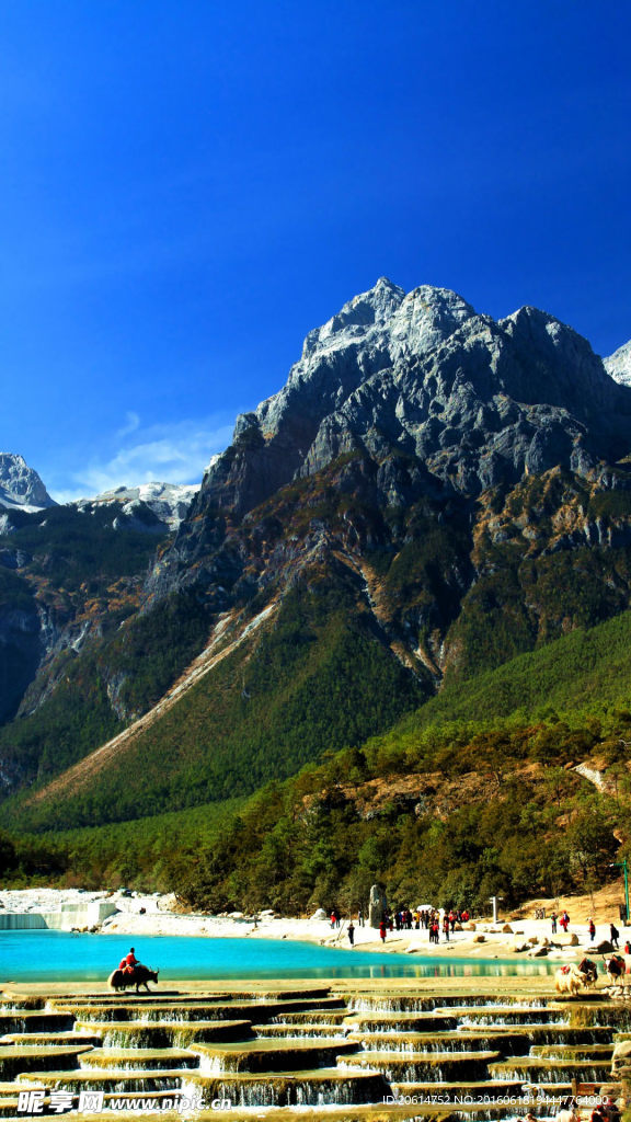 美丽的风景