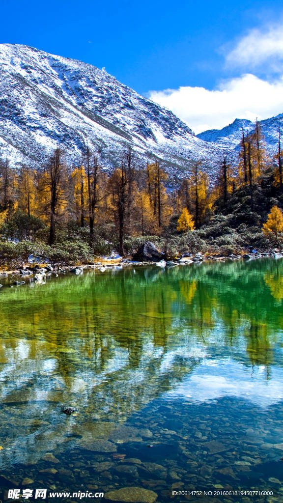 美丽的风景