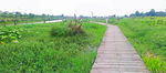 增城鹤之洲湿地公园