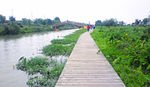 增城鹤之洲湿地公园