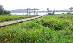 增城鹤之洲湿地公园