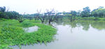 增城鹤之洲湿地公园