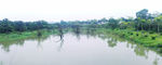 增城鹤之洲湿地公园