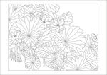 荷花.