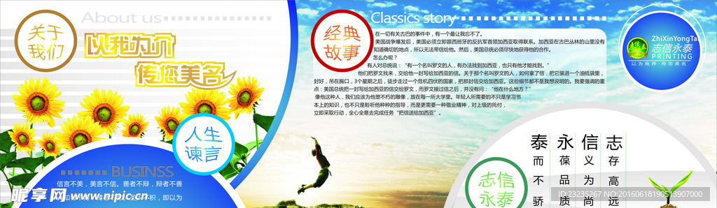 蓝天 白云 向日葵