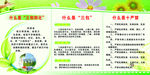 绿色 环保 花纹