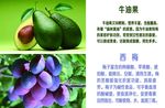 西梅