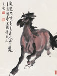 天岸马