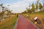 公园的路