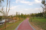 公园的路
