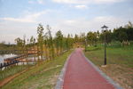 公园的小路