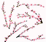 粉色樱花枝矢量素材