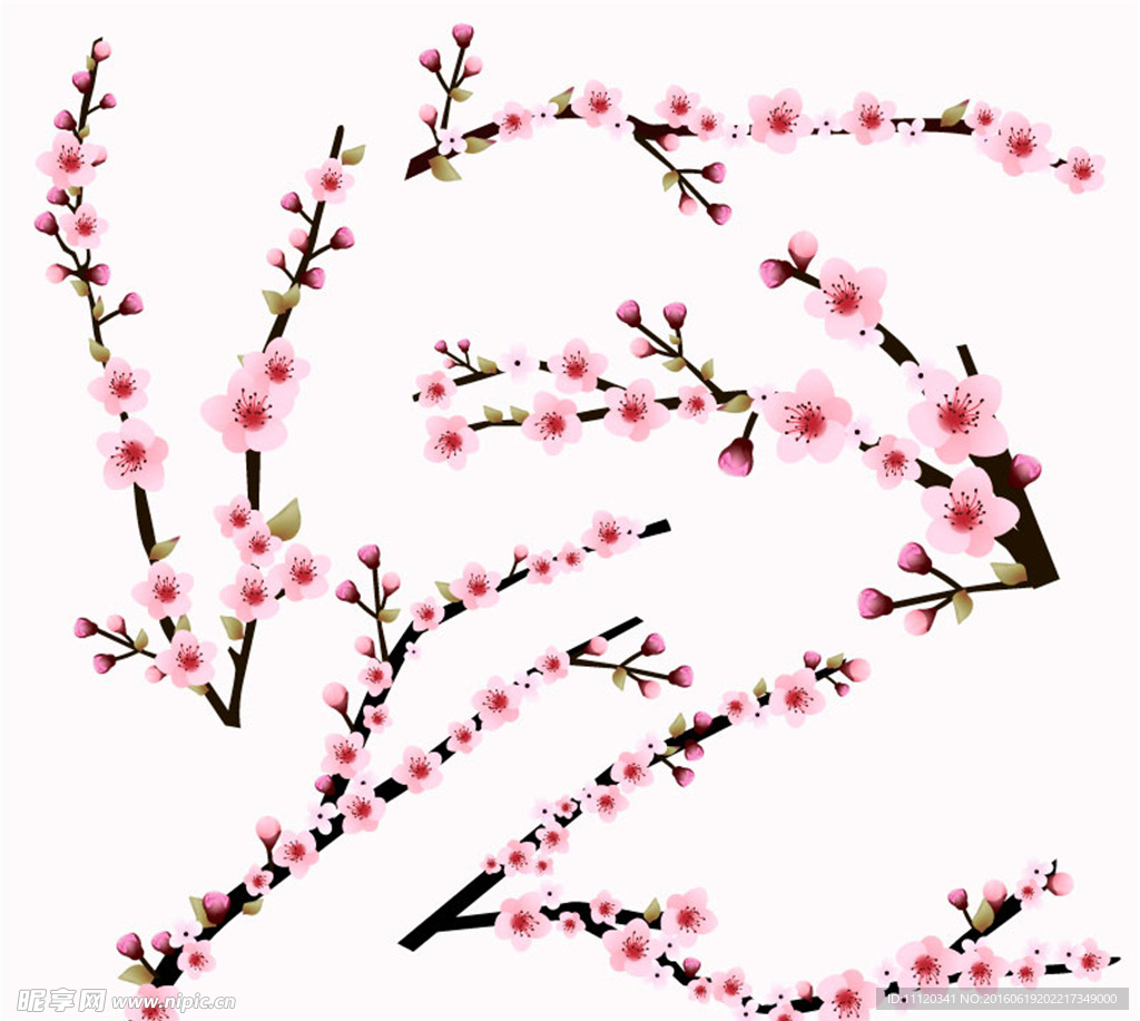 粉色樱花枝矢量素材