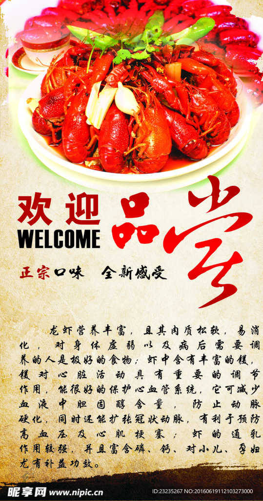 龙虾图片 龙虾海鲜