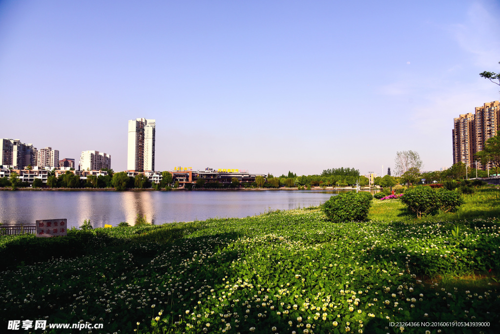 武汉金银湖风景