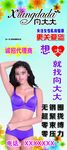 向大大展架