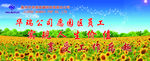 高炮画面