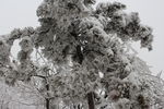 长城雪景