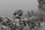长城雪景