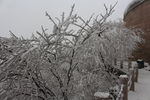长城雪景
