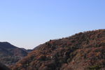 长城