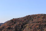 长城