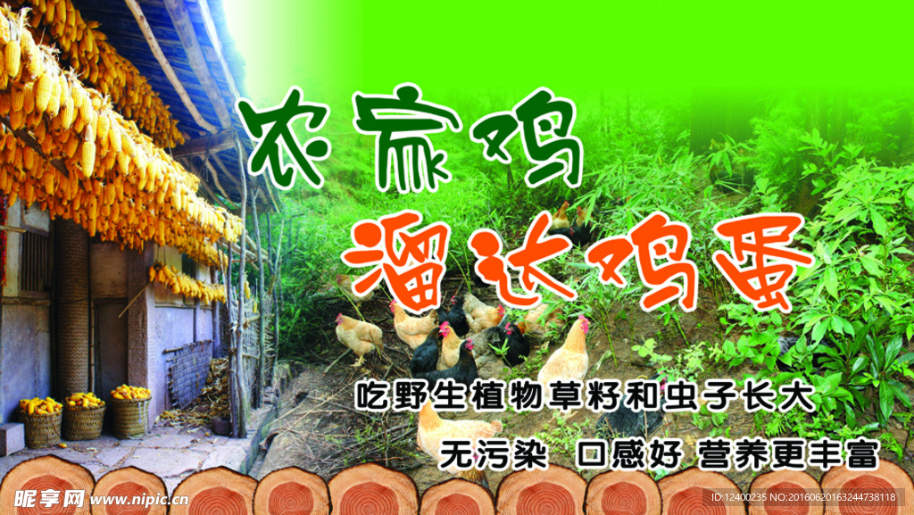 农家院