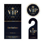 矢量vip