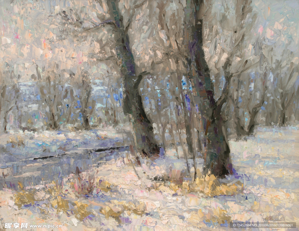 冬日里的白桦树