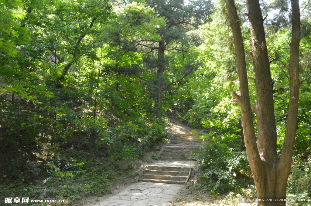 香山风景