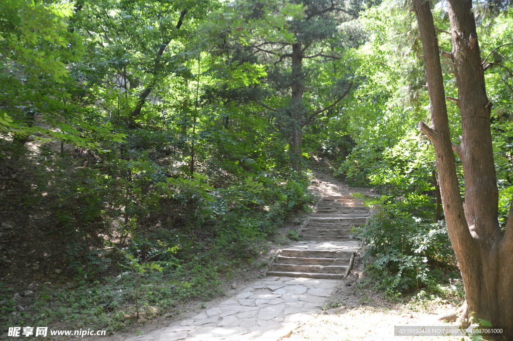 香山风景