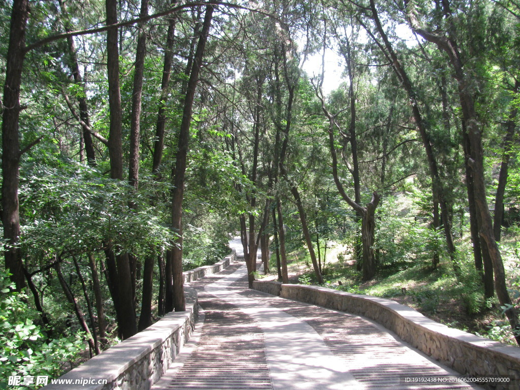 香山风景