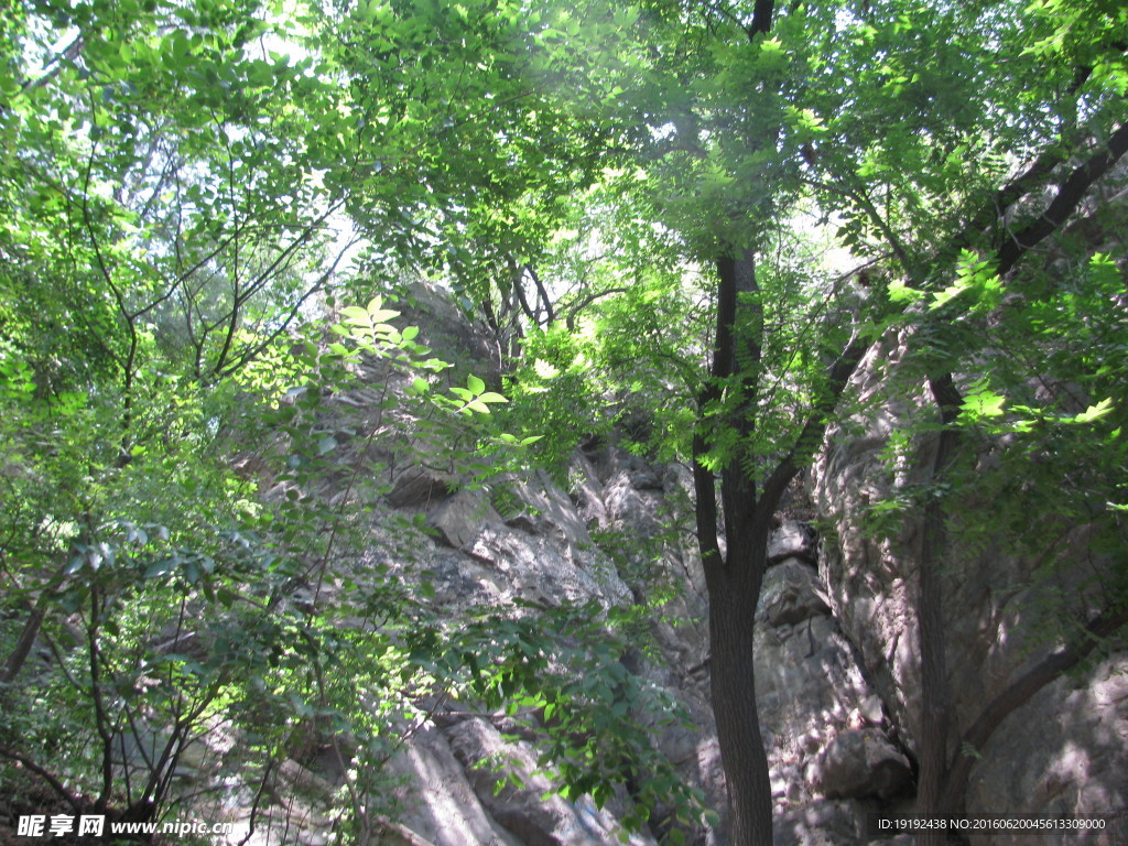 香山风景