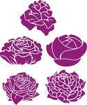 矢量玫瑰花