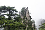 黄山