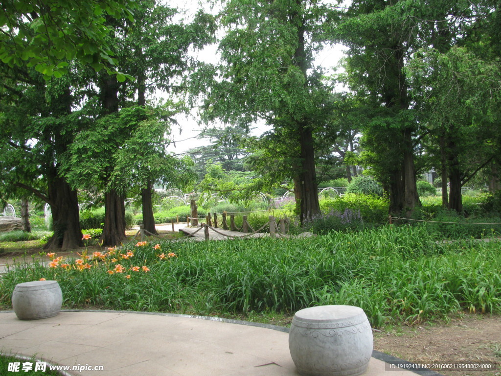 南植物园风景