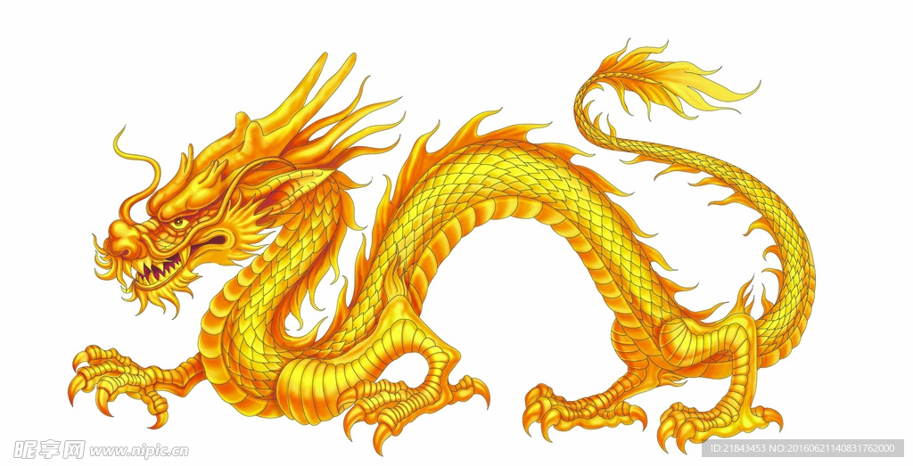 高清龙图案
