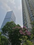 高楼大厦