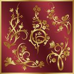 金色花纹