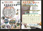 少儿棋院传单