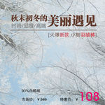 美丽遇见