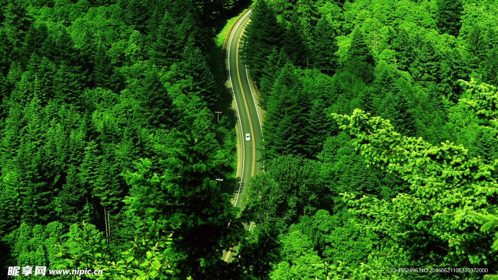 四邻公路
