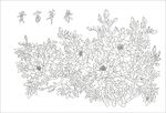 富贵荣华