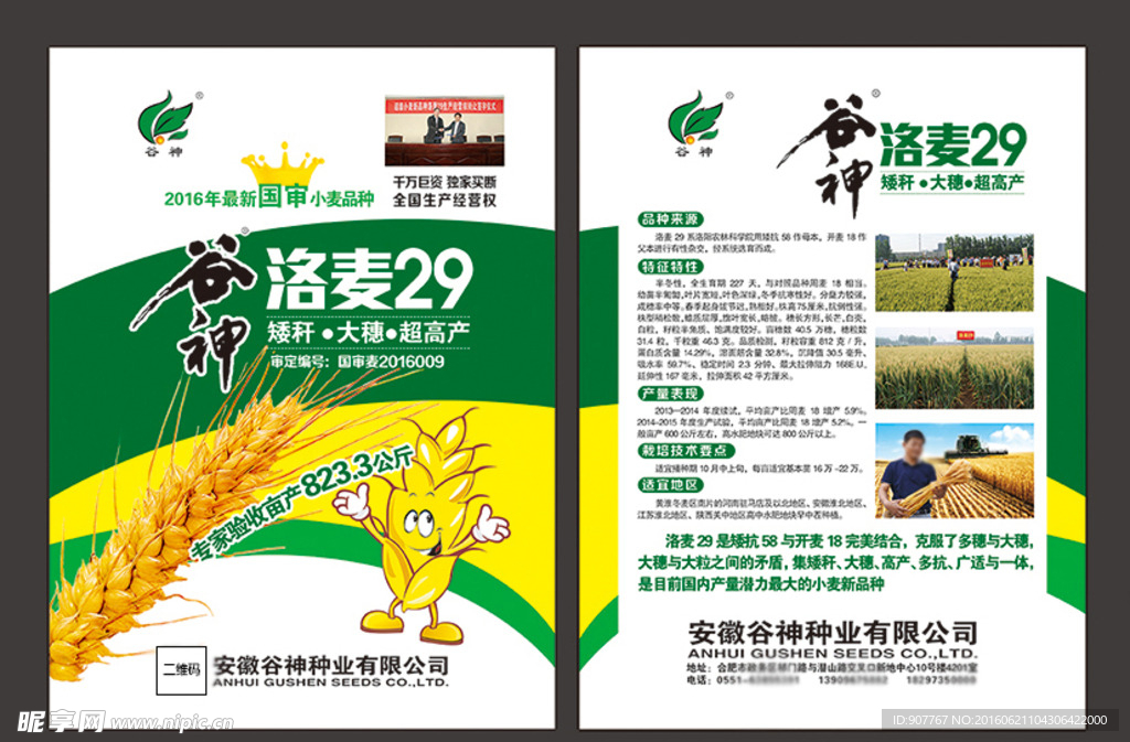 谷神洛麦29包装