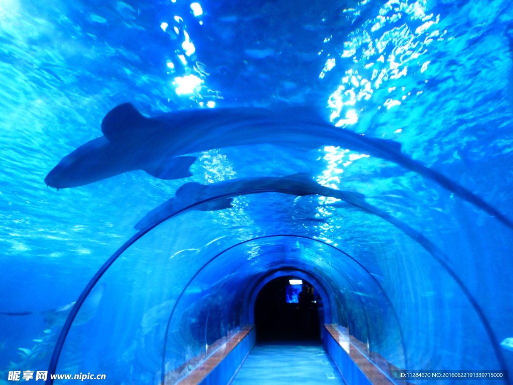 水族馆 海底世界