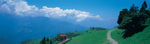 高原旷野